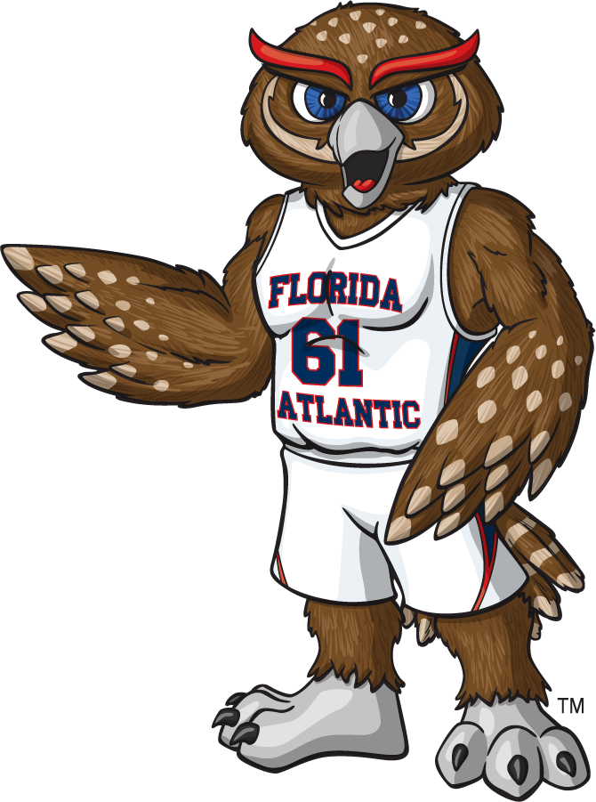 Florida Atlantic Owls 2014-2015 Mascot Logo iron on transfers for clothing